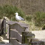 In 公寓 Ostseebad Kühlungsborn