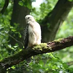 In