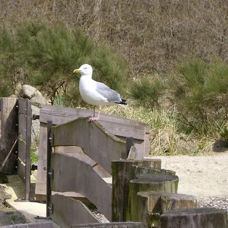 In アパート Ostseebad Kühlungsborn