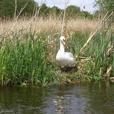Ferienwohnung In Kuehlungsborn Appartement