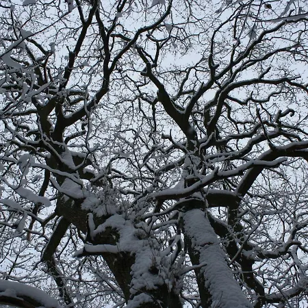 Ferienwohnung In Kuehlungsborn شقة Ostseebad Kühlungsborn