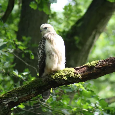 Ferienwohnung In Kuehlungsborn