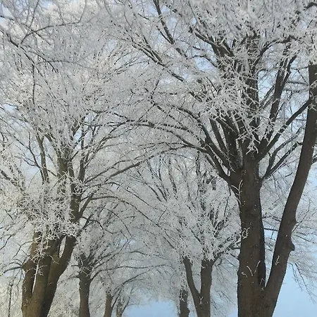 Ferienwohnung In Kuehlungsborn Appartement