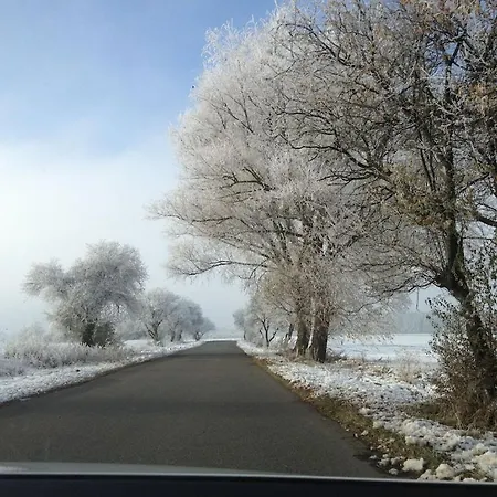 Appartement Ferienwohnung In Kuehlungsborn