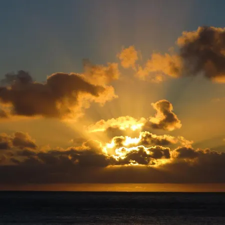 Ferienwohnung In Kuehlungsborn * Ostseebad Kühlungsborn