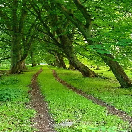 Ferienwohnung In Kuehlungsborn *