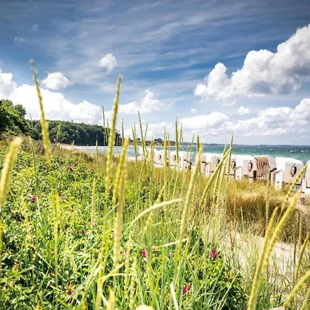 Traditional Near Sea In Kuehlungsborn